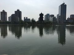 -迎泽公园