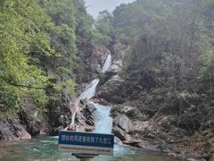 -九龙江国家森林公园