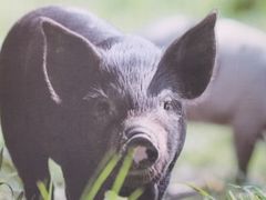 -渔梆子(长汀店)