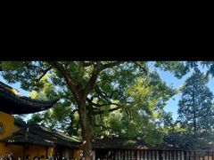 -西园寺素食(西园弄戒幢律寺店)