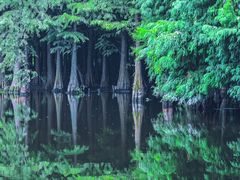 -尚湖风景区