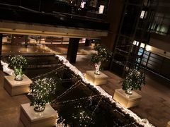 -上海外滩茂悦大酒店