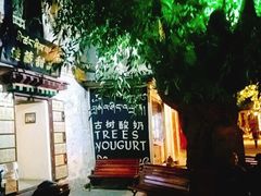 -古树酸奶(八廓南街店)