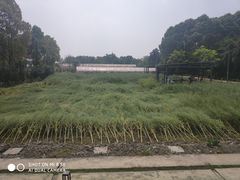 -洪湖家庭农场·团建·露营·会议