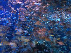 -成都浩海立方海洋公园