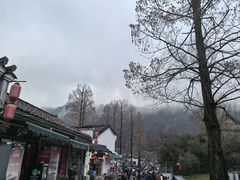 -九华山风景区