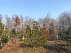 -东郊湿地公园
