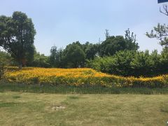 -映月湖中央公园