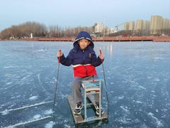 -丁香湖公园