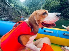 -安吉龙王山峡谷漂流