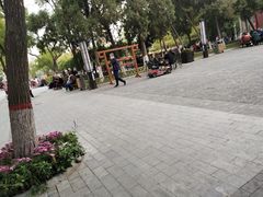 -文瀛公园