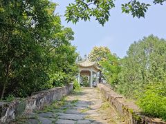 -北京鹫峰国家森林公园