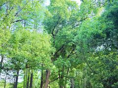 -东湖落雁景区