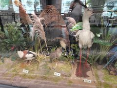 -天津意大利风情旅游区