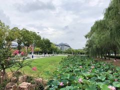 -东南大学(九龙湖校区)