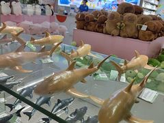 -南昌海洋公园