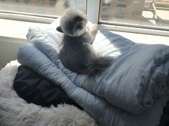 -宠颐生动物医院·心脏科·保险定点(锦阳分院)