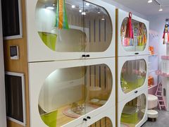 -青奢宠物·青奢猫舍