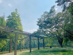 -番禺大夫山森林公园
