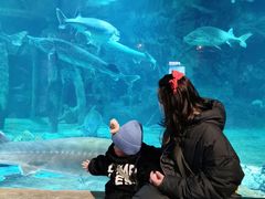 -华夏文旅海洋公园