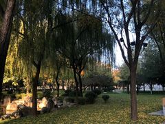 -唐城墙遗址公园