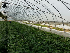 android_upload_pic-汤山翠谷生态餐厅