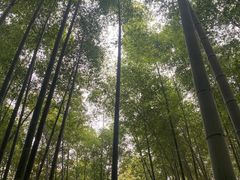 -南山风景名胜区