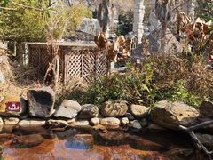 -天芳悦潭度假村温泉