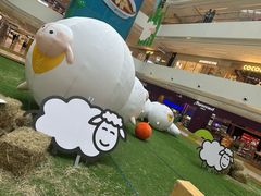 -阳光天地