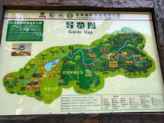 -西双版纳原始森林公园