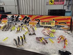 -海鮮寿司とれとれ市場