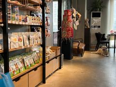 -百好乐宠物友好餐厅(朝外大街店)