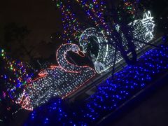 -碧桂园泰富城售楼部