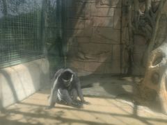 -泉州海丝野生动物世界