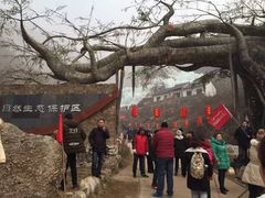 -大平台龙居瀑布旅游区