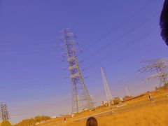 -王借岗森林公园