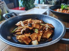 千页豆腐-日出青木