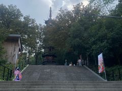 -上海佘山国家森林公园西佘山园