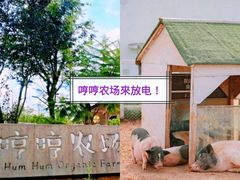 -哼哼农场