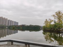 -成都南湖公园