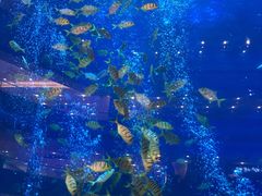 -成都浩海立方海洋公园