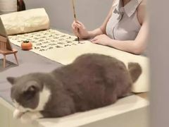 -昂立少儿成长中心(浦东蓝村路地铁站校区)