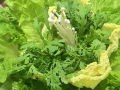 -红鼎豆捞·非遗鲍皇汤火锅(宝丰路店)