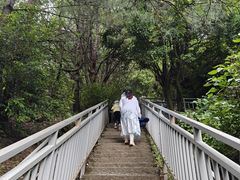 -苍山感通索道
