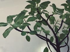 -小团圆糖水铺(襄阳南路店)