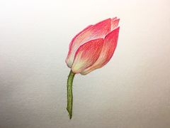 -鼎画艺术机构(贵都店)