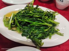 -蛇口康乐快餐鱼仔档(翠苑小区店)