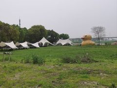 -动邦皮划艇·桨板·独木舟·团建户外运动俱乐部