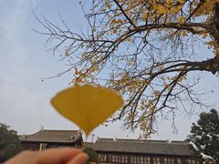 -圆通寺