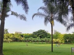 -东风公园